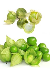 tomatillo verde